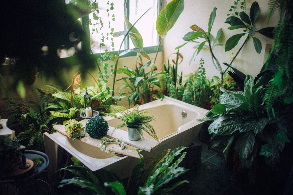 plant, tub, bathroom, hygiene, nature, relaxation, indoors